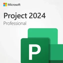 Project professionnel 2024